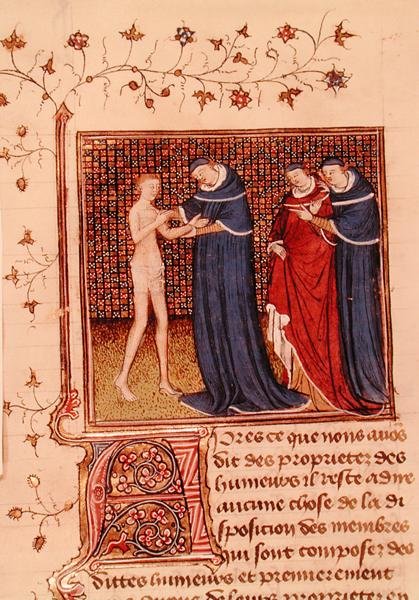 Paní Fr 22531 Fol.58v. Vyšetření pacienta z knihy „Kniha vlastností věcí“ od Angličana Barthelemyho, c. 1410-15 (vellum) od French School