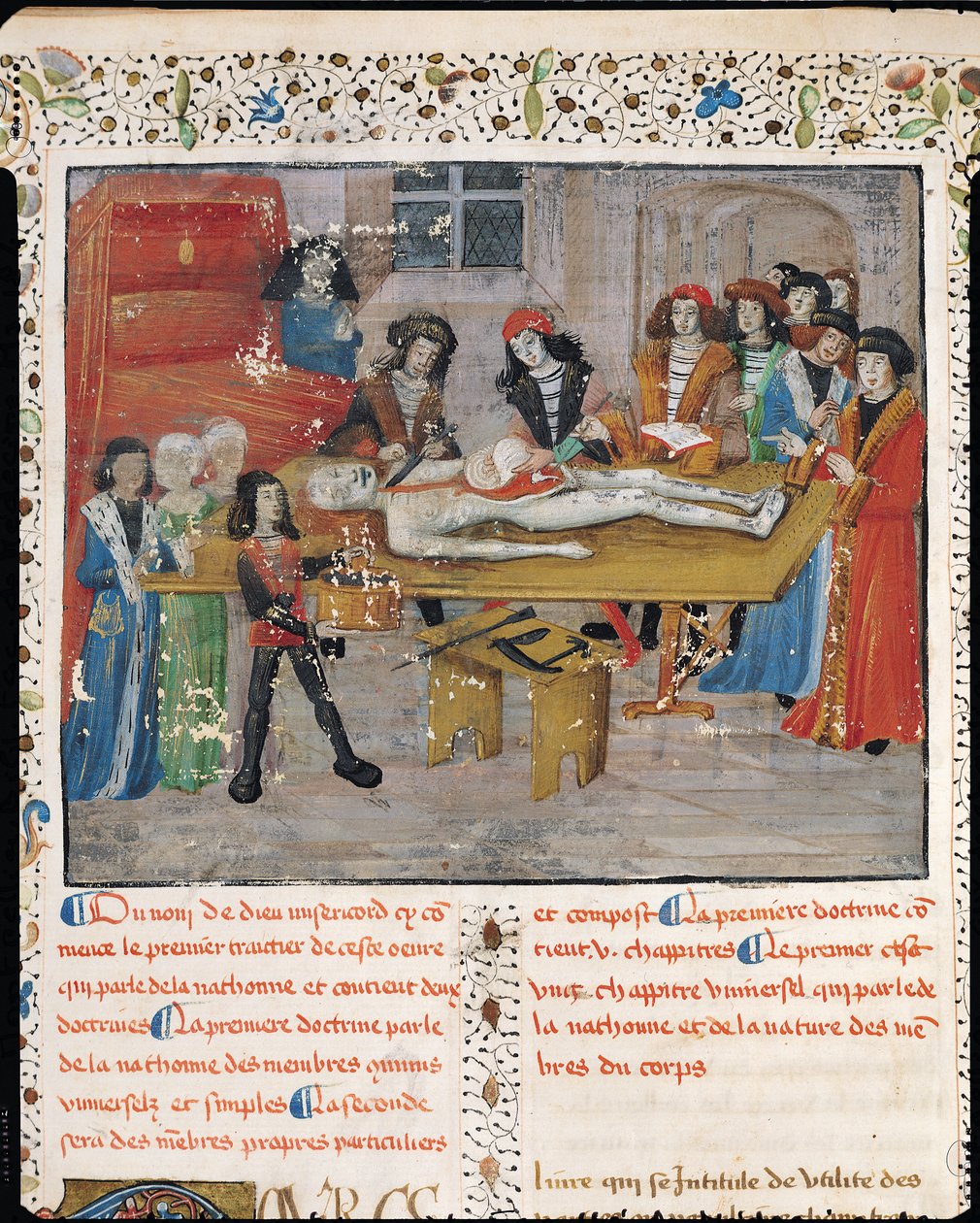 Paní H 184 fol.14v Pitevní lekce na lékařské fakultě v Montpellier, z „La Grande Chirurgie“ od Guye de Chauliac, 1363 od French School
