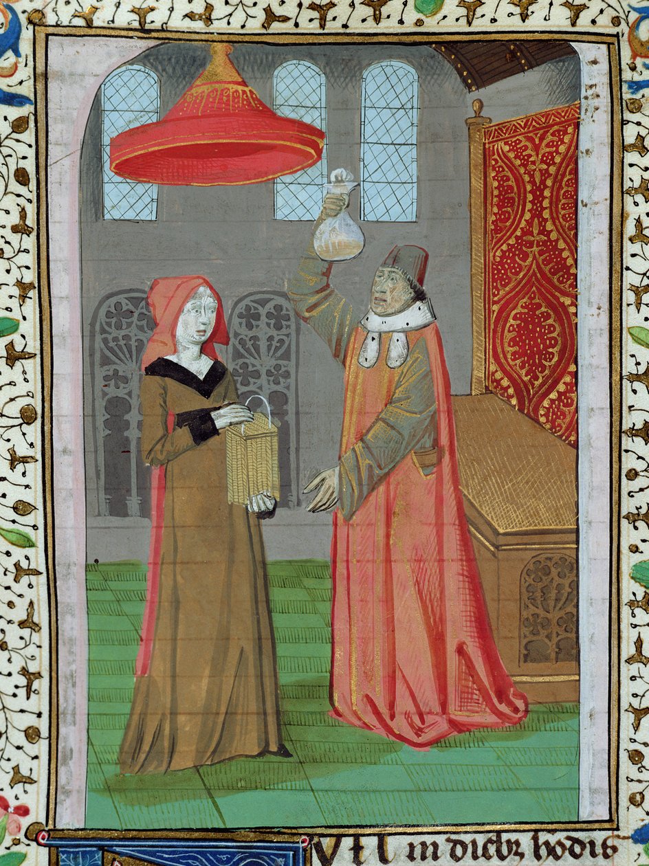 Ms H 7 fol.164r Lékař vyšetřující moč sv. Alžběty, aby zjistil, zda není těhotná, z Bible Jana XXII. od French School