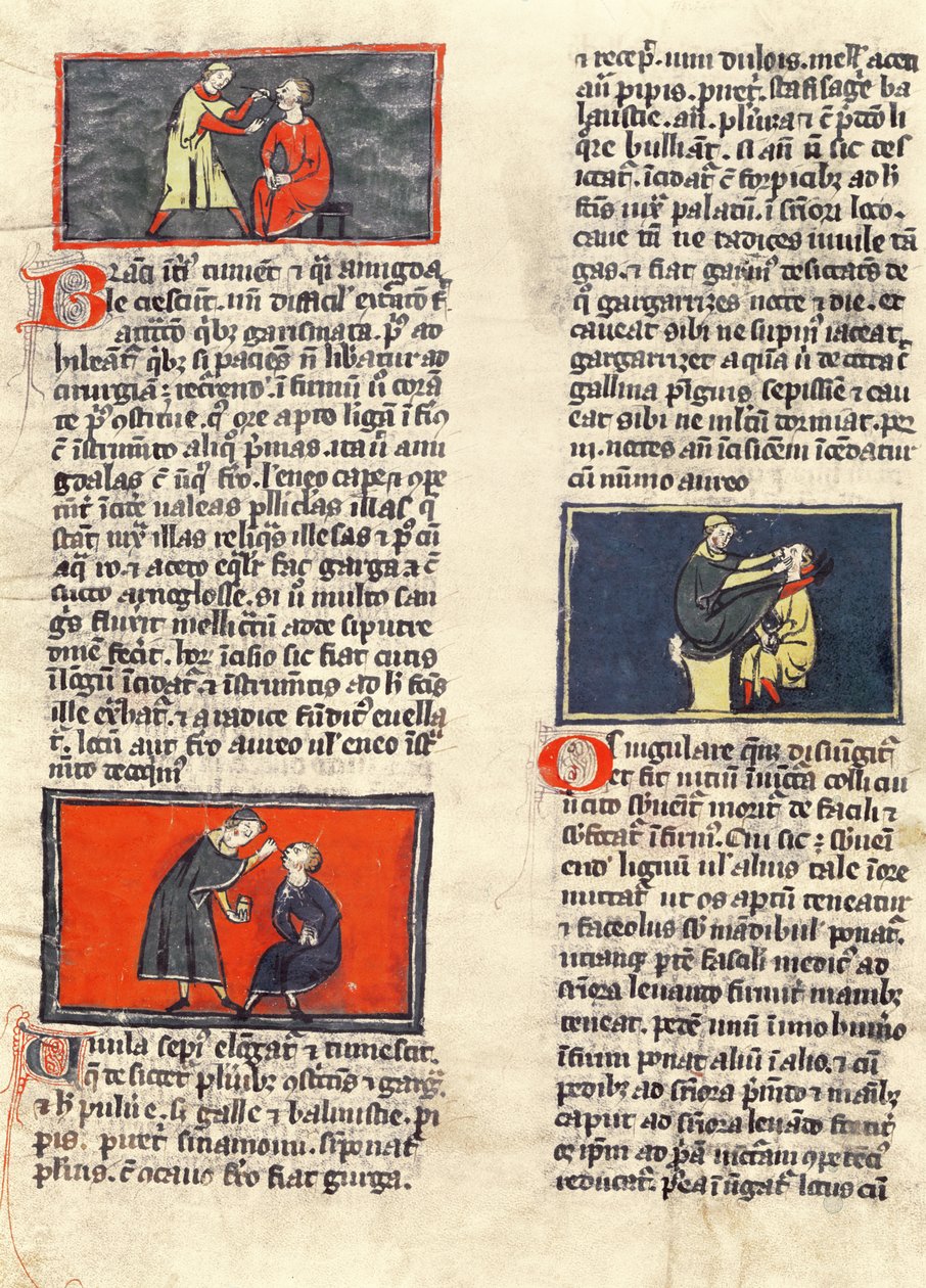 Ms H 89 fol. 16v Dental Surgery, z vydání 