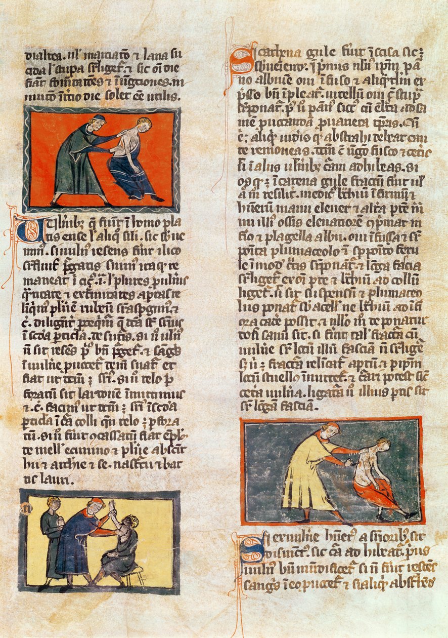 Paní H 89 fol. 17r Chirurgie, z vydání „Knihy chirurgie“ od Rogiera de Salerne od French School