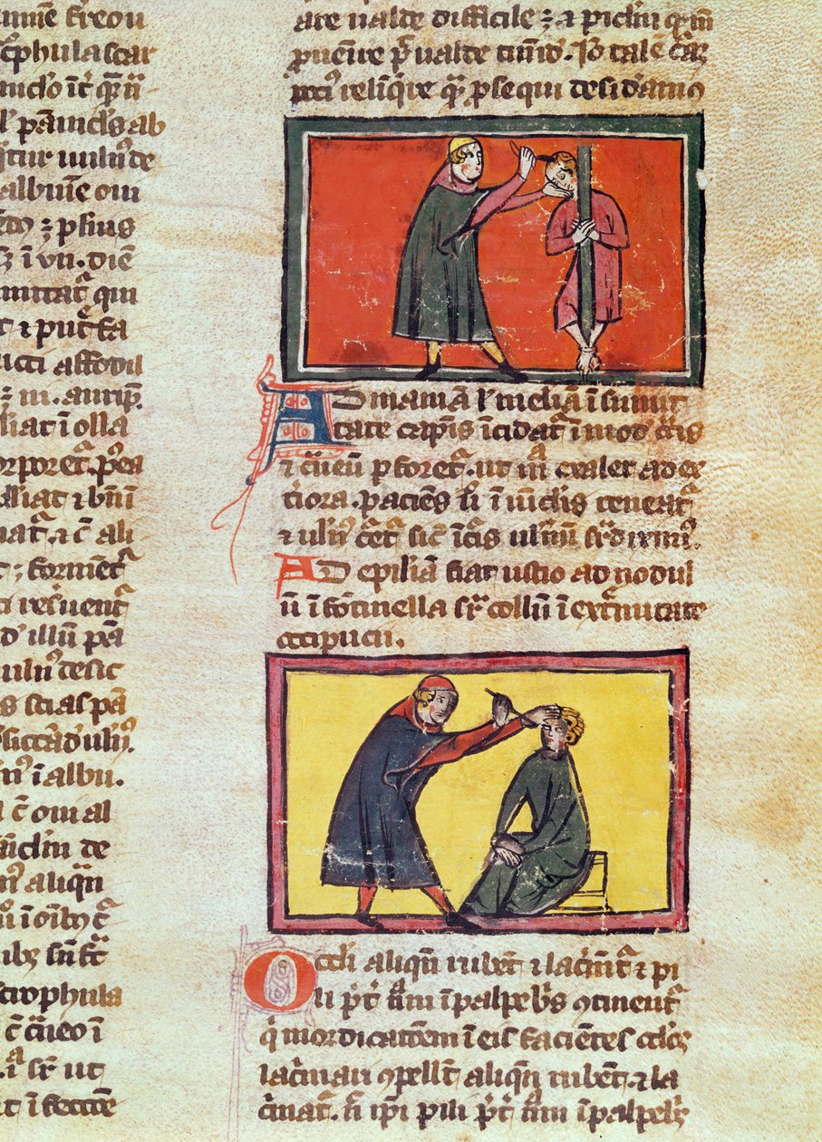 Paní H 89 fol. 6 Chirurgie, z vydání „Knihy chirurgie“ od Rogiera de Salerne od French School