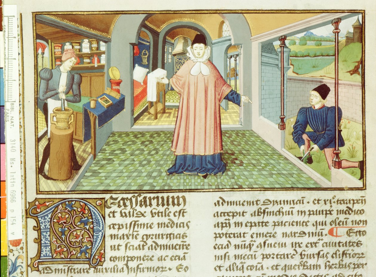 Ms Lat 6966 fol.154v Řezání rostlin a příprava léků, z LAntidotaire od Bernarda de Gordona od French School