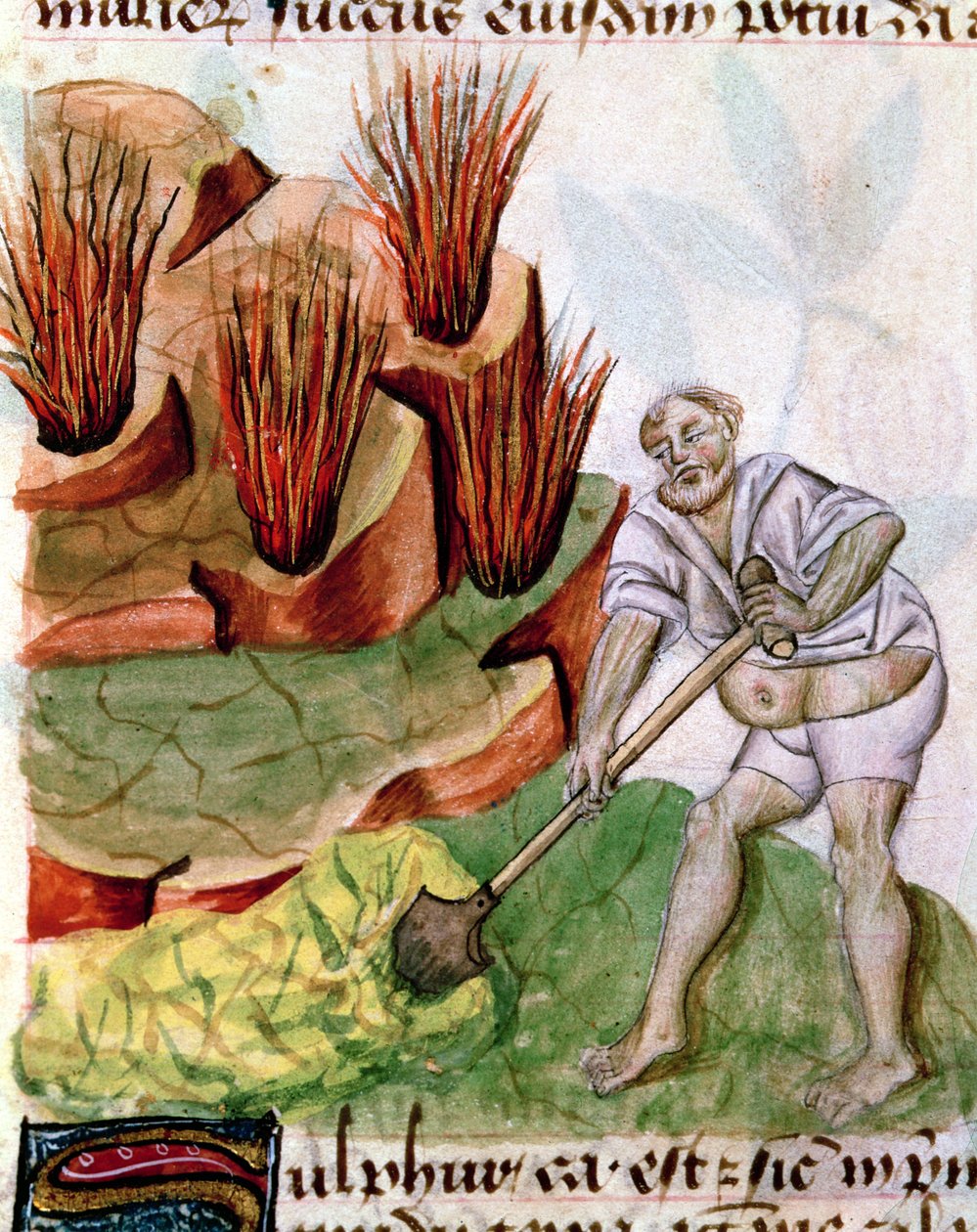 Paní Lat 993 L.9.28 f.123v Hledám síru, od Dioscorides De Herbis od French School