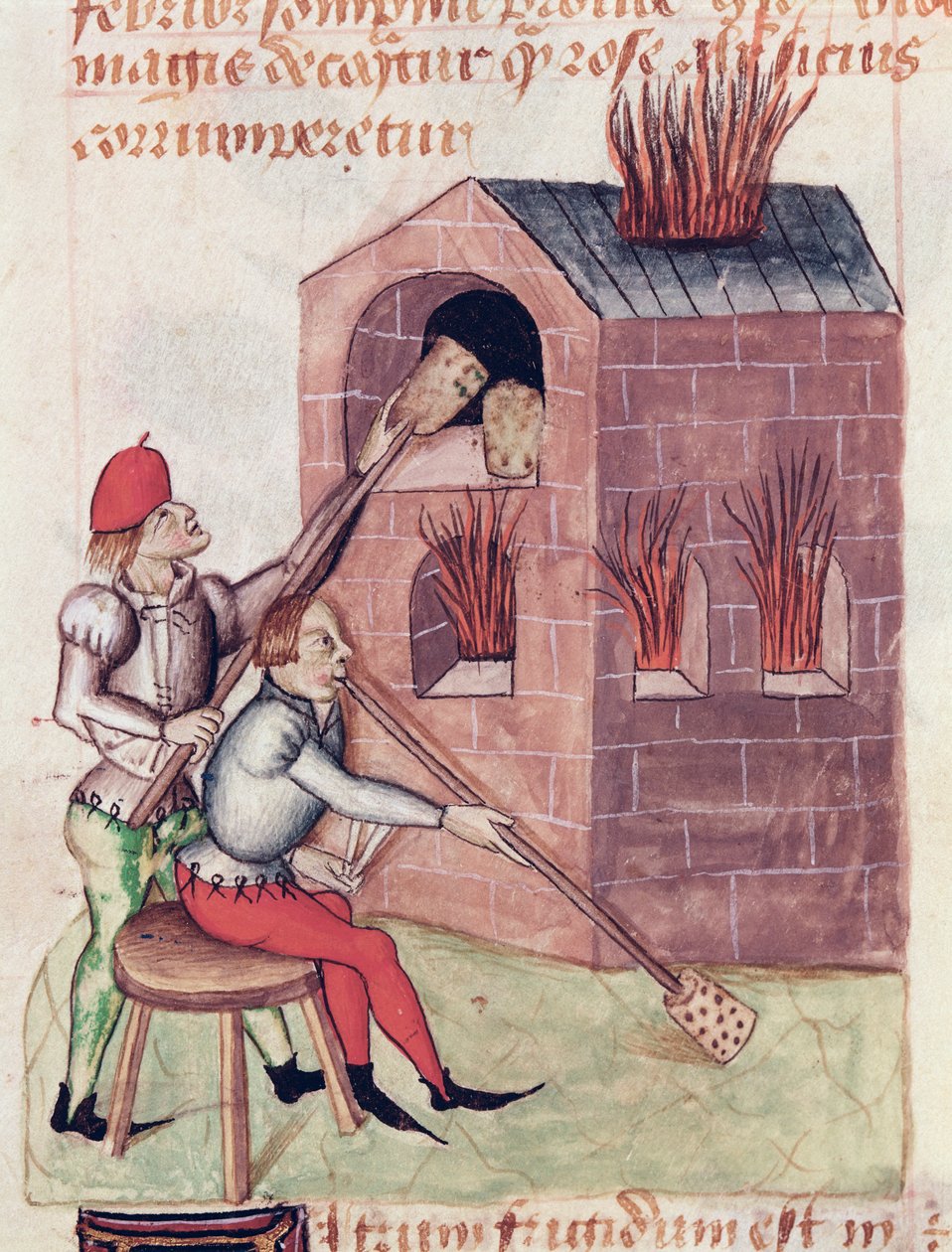Ms Lat 993 L.9.28 f.138r Skleněné dmychadla, od Tractatus de Herbis od Dioscorides od French School