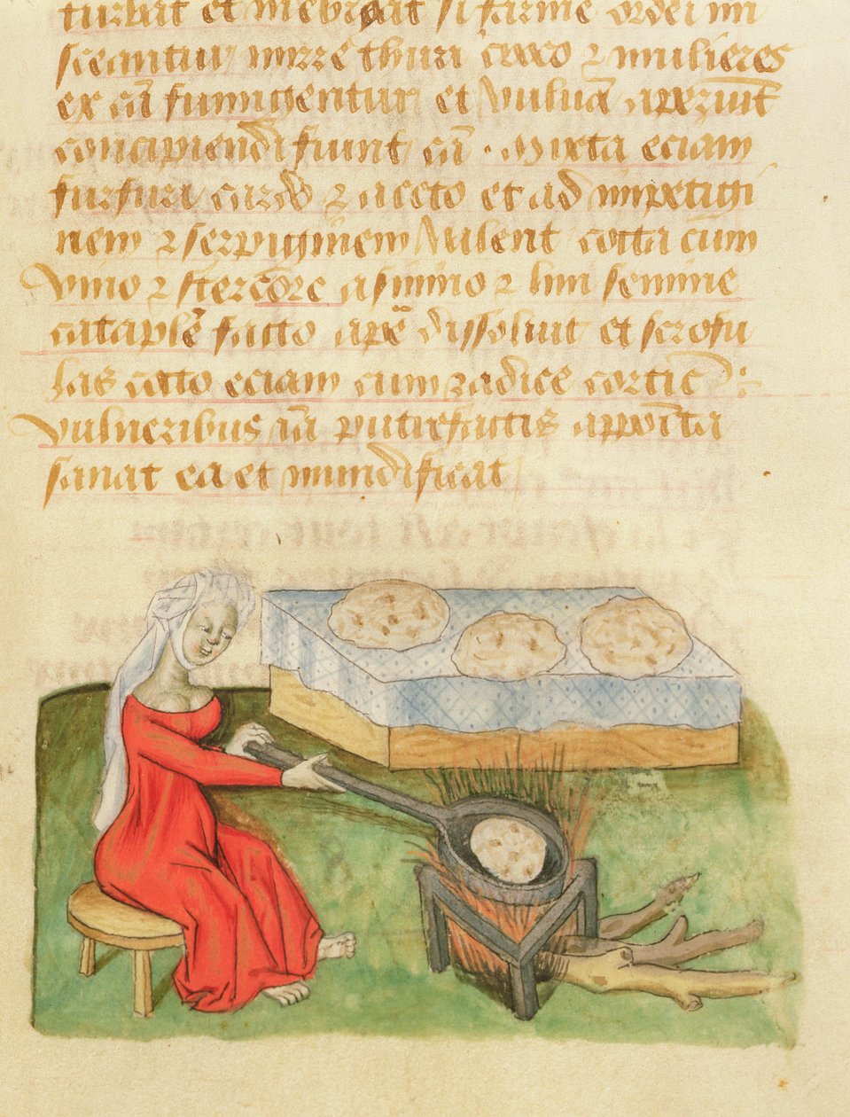 Tractatus de Herbis od Dioscorida, fol.142r Pečení buchet od French School