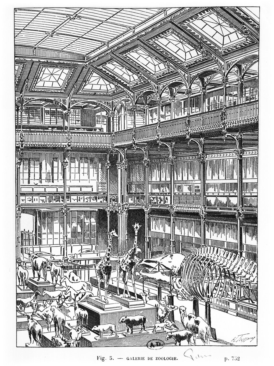 Přírodovědné muzeum v Paříži od French School