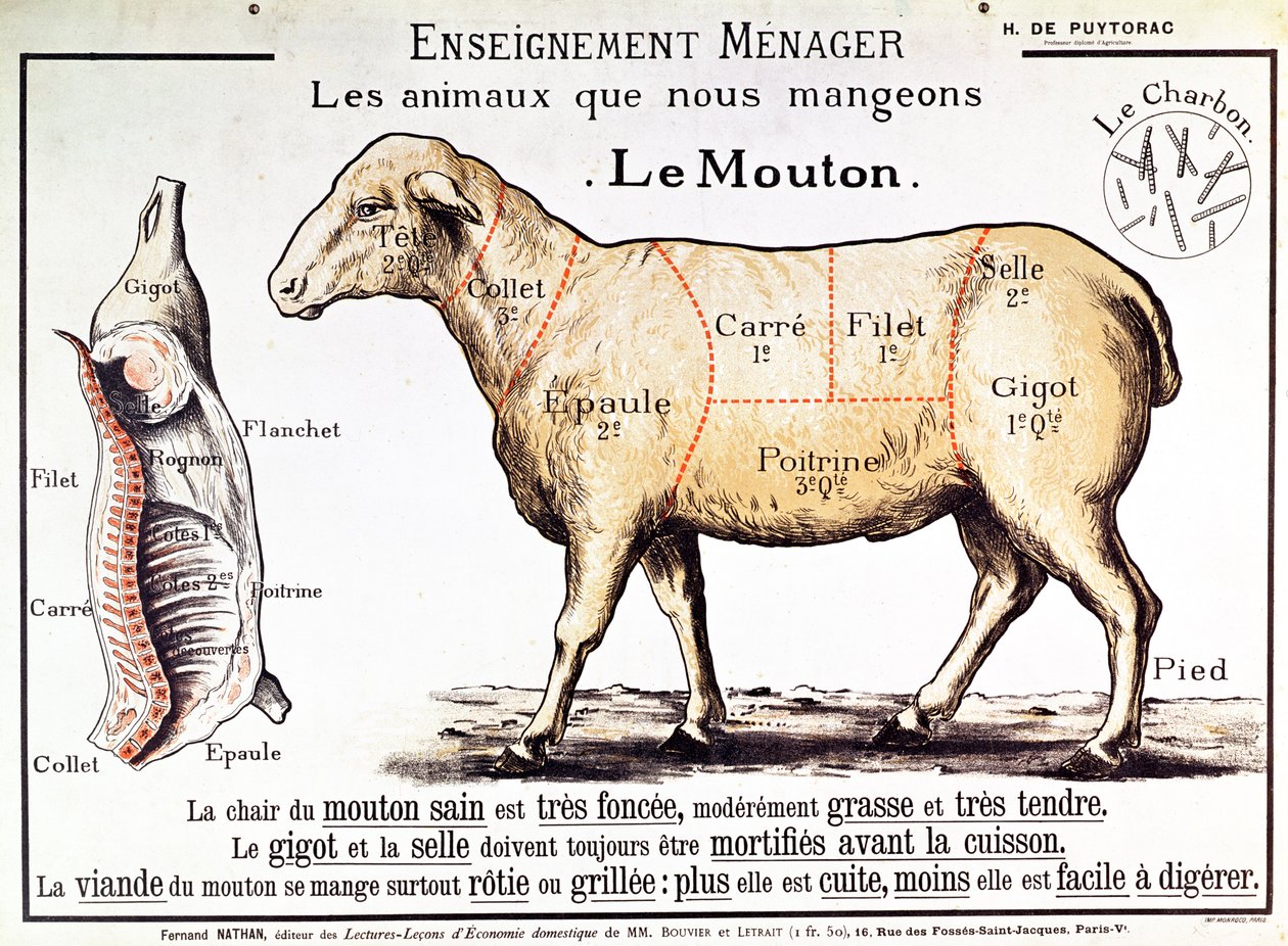 Skopové: diagram zobrazující různé kusy masa od French School