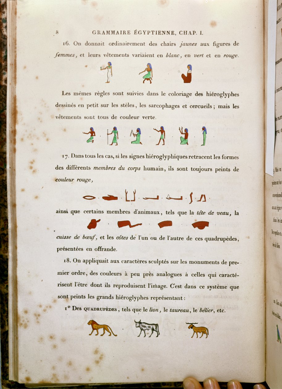 Poznámky k barvení určitých hieroglyfů z Grammaire Egyptienne od Jeana Francoise Champolliona (1790-1832) 1836 od French School