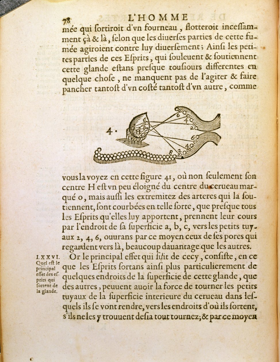 Optický diagram, z De Homine Figuris od René Descartes (1596-1650) publikovaný v Haagu, 1662 od French School