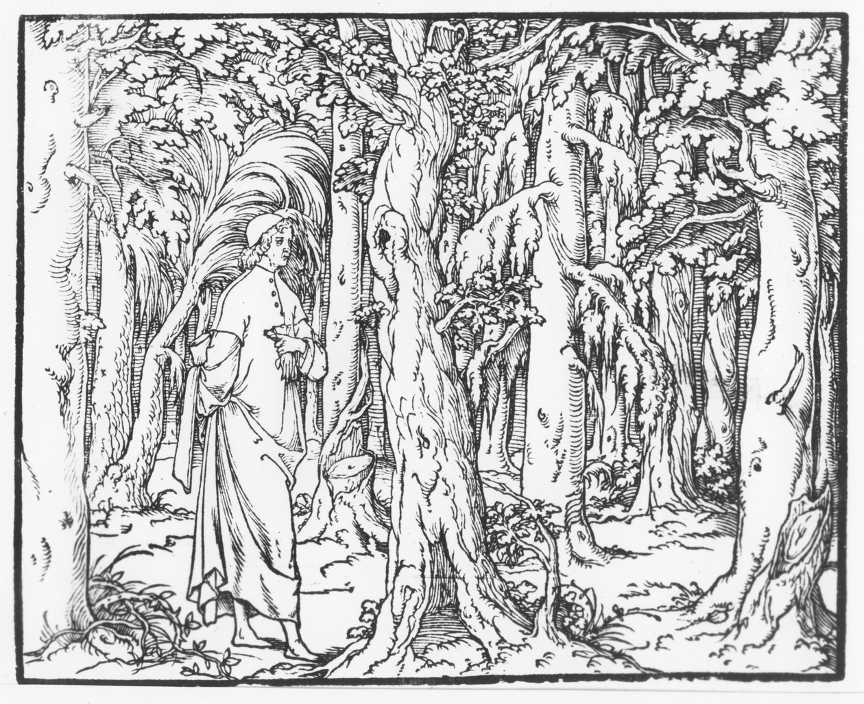 Stránka z "Discours du Songe de Poliphile", Francesco Colonna, 1546 od French School