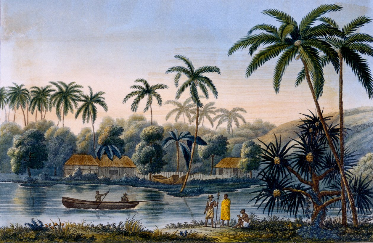 Část vesnice Matavae, kokosové palmy a další ovoce, Tahiti, z Voyage around the World on Corvette Coquille od poručíka Louis Isodore Duperrey, zveřejněno 1826 od French School