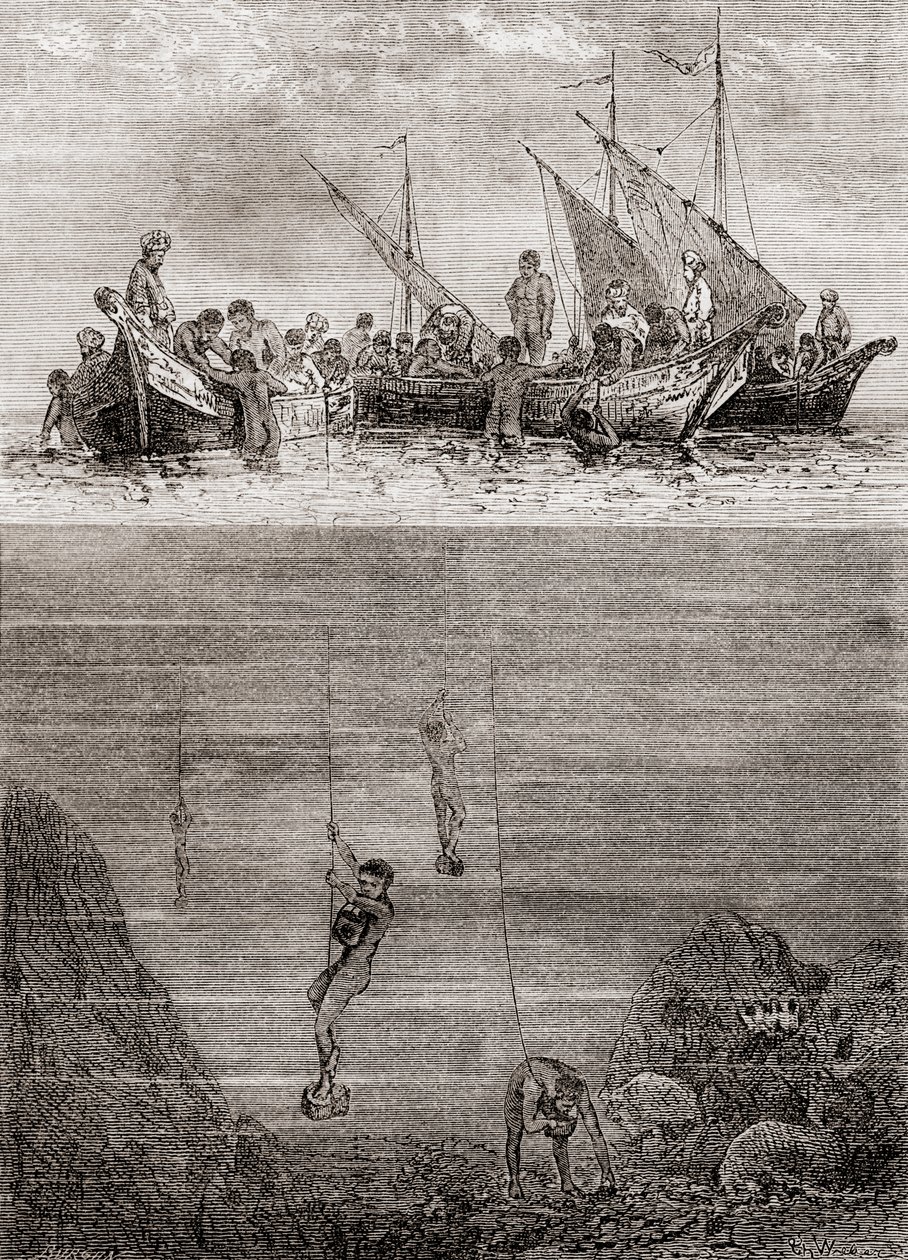 Potápěči perel u pobřeží ostrova Cejlon v 18. století, z „Les Merveilles de la Science“, vydané kolem roku 1870 (rytina) od French School