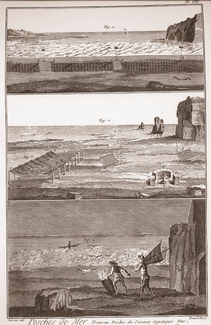 Peche de Mer - Trameau - Rybolov vodních ptáků - "" Velká encyklopedie nebo Dictionnaire Raisonne des Sciences, des Arts et des Metiers" (Encyklopedie nebo slovník věd, umění a profesí) Denis Diderot (1713-1784) a Jean d Alembert (171 od French School