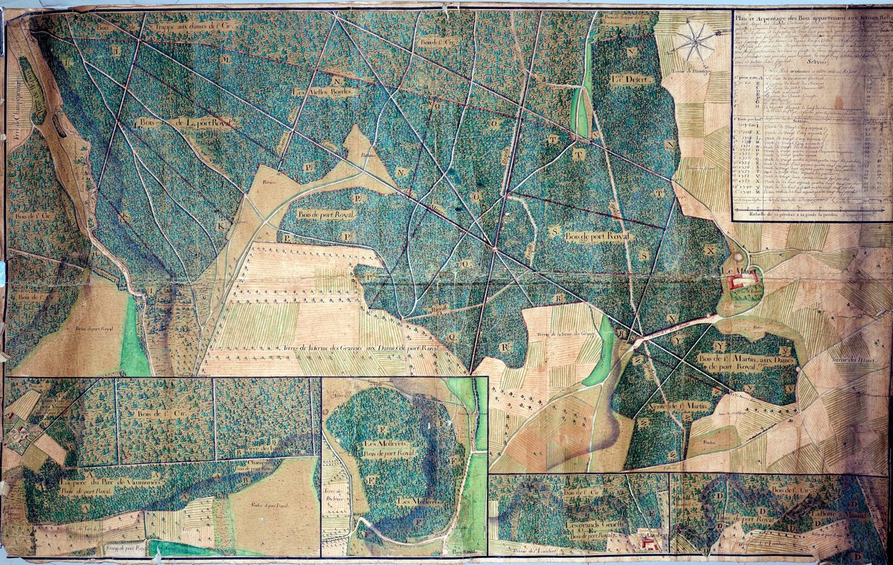 Plán a průzkum lesů patřících jeptiškám z Port Royal des Champs (Port-Royal-des-Champs) 1723 Paříž, Archives nationales od French School