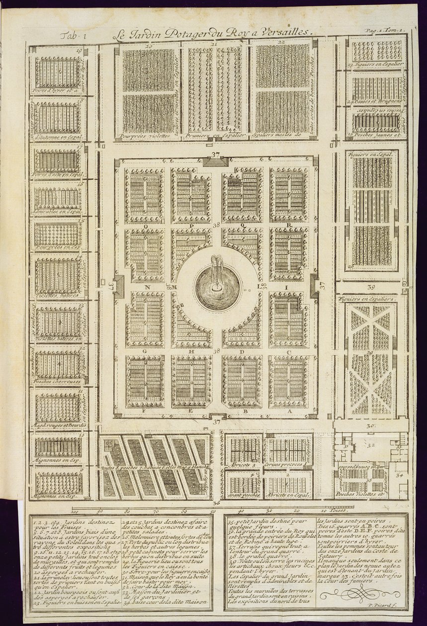 Plán královských zeleninových zahrad ve Versailles, z Le Parfait Jardinier, nebo Instruction pour les Jardins Fruitiers et Potager, od Jean de la Quintinye, vydáno 1695 od French School