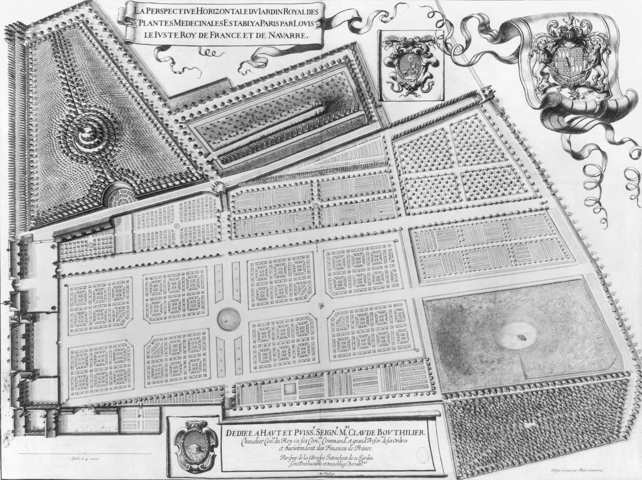 Plán Královské zahrady léčivých rostlin v Paříži, 1641 od French School