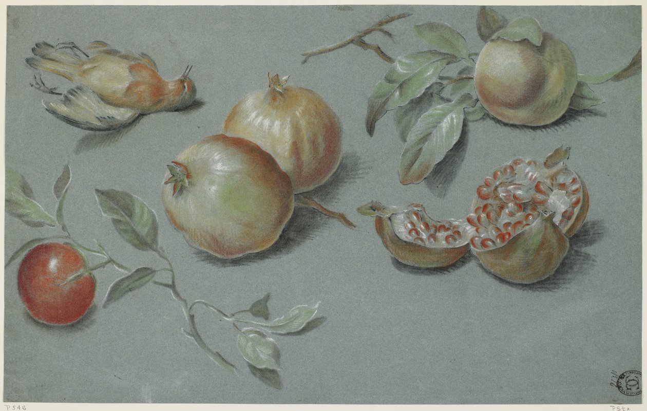 Granátová jablka a mrtvý pták, počátek 19. století (křída na papíře) od French School