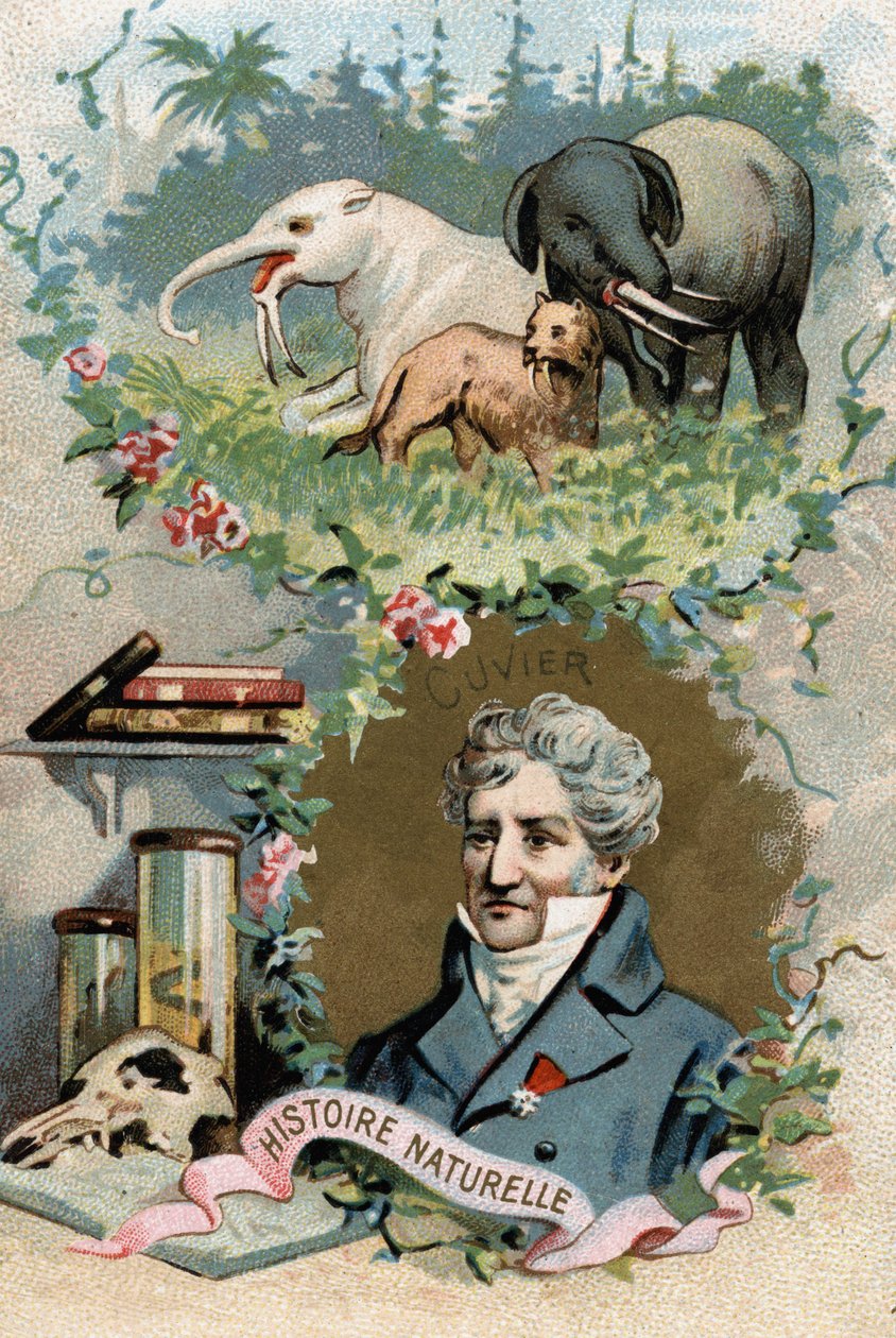 Portrét barona Georgese Cuviera, francouzského zoologa a paleontologa (1769-1832), zakladatele srovnávací anatomie. Chromolitografie 19. století. od French School