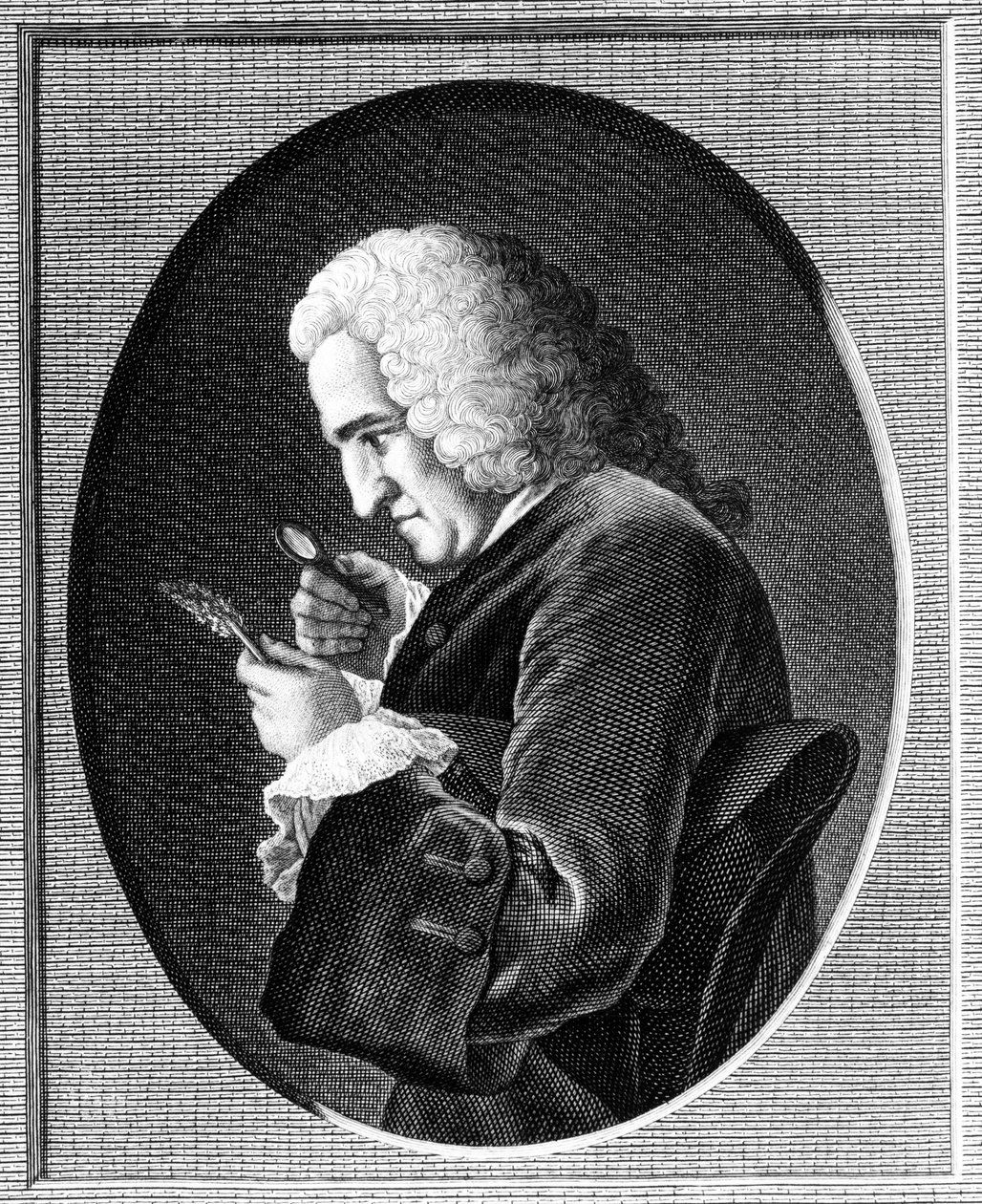 Portrét Bernarda de Jussieu (1699-1777) od French School