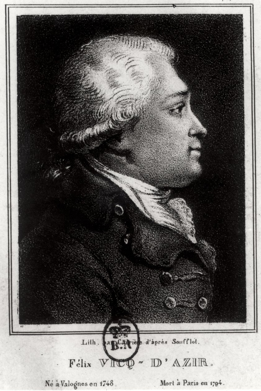 Portrét Felixe Vicqa dAzyra (1748-94) od French School