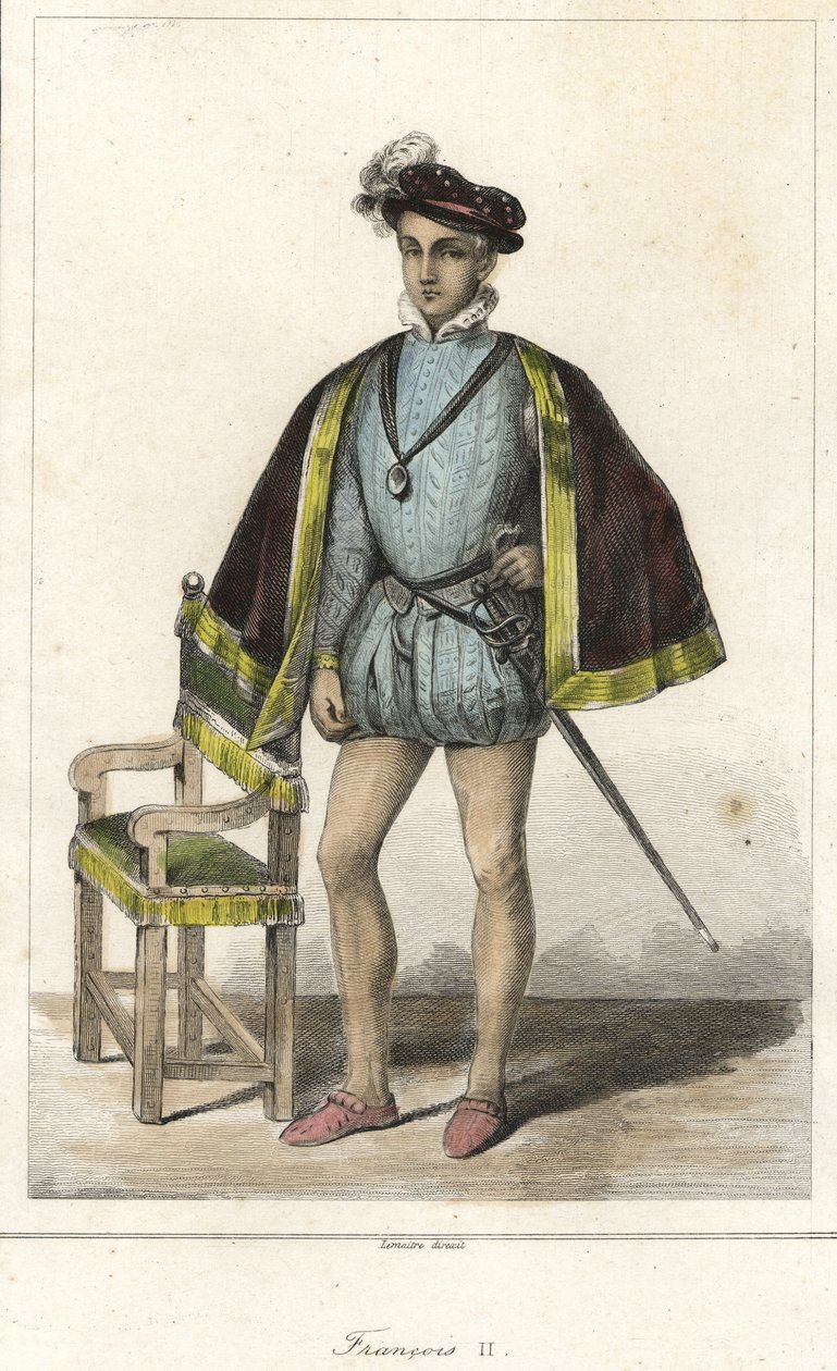 Portrét Francoise II (1544 - 1560), krále Francie. od French School