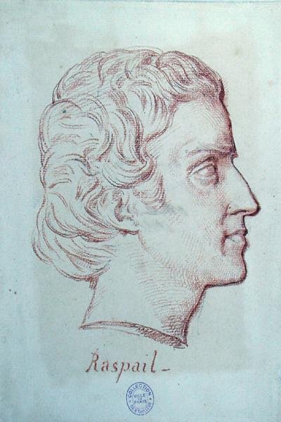Portrét Francoise Vincenta Raspaila (1794-1878) (červená křída na papíře) od French School
