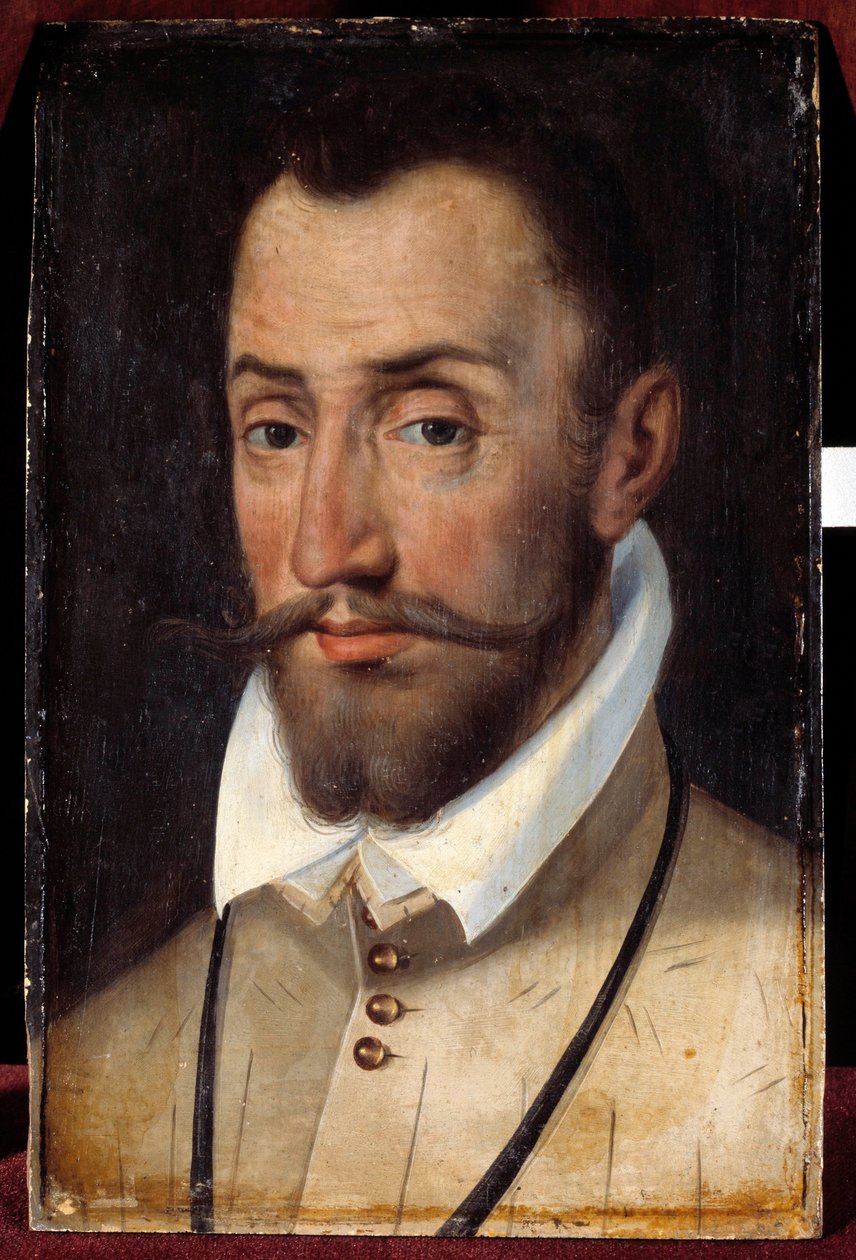 Portrét Francoise de Coligny, lorda z Andelotu, generálplukovníka pěchoty (1521-1569) Obraz Francouzské školy od French School