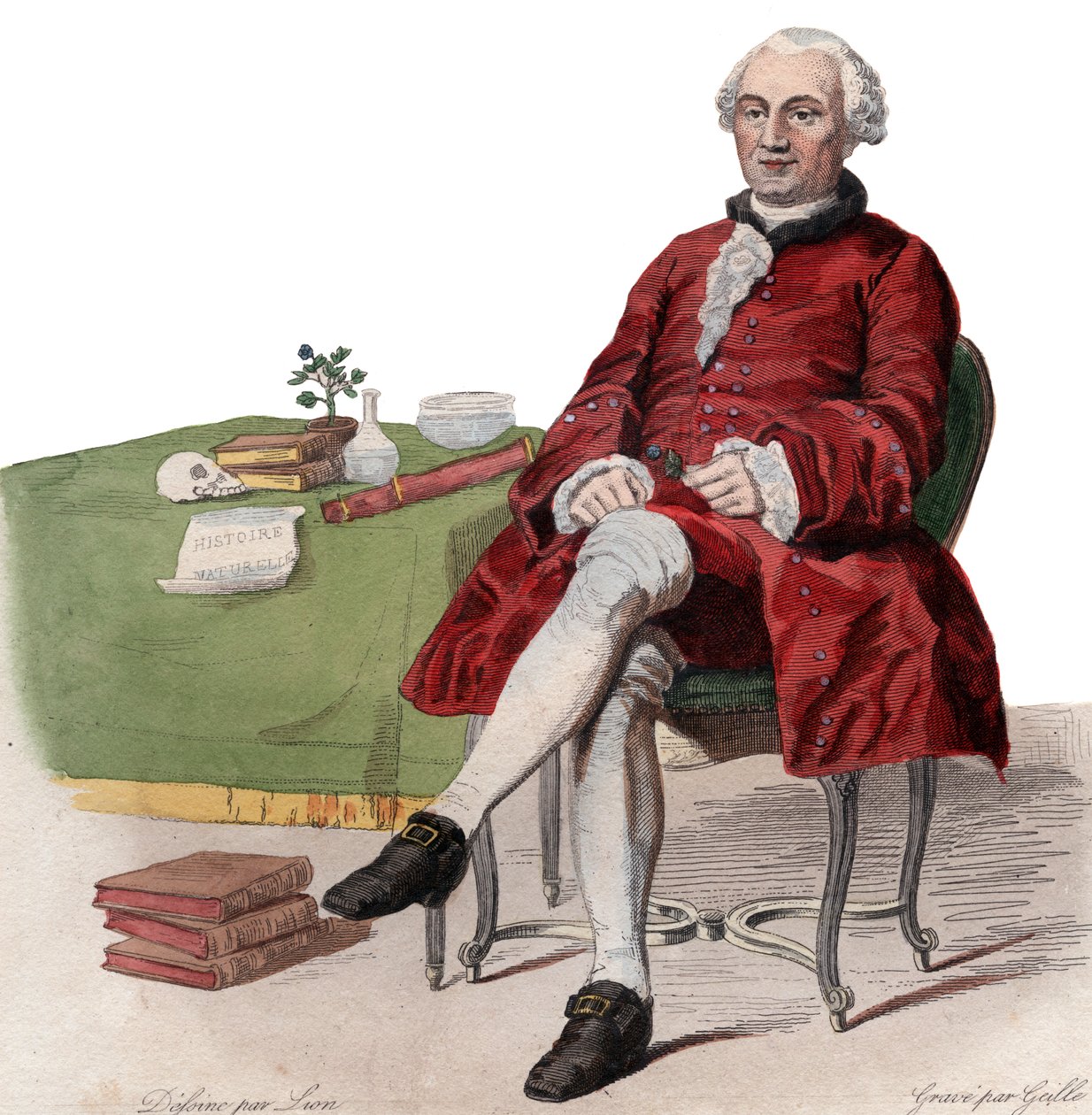 Portrét Georges Louis Leclerc, hrabě de Buffon (1707-1788), francouzský přírodovědec. od French School