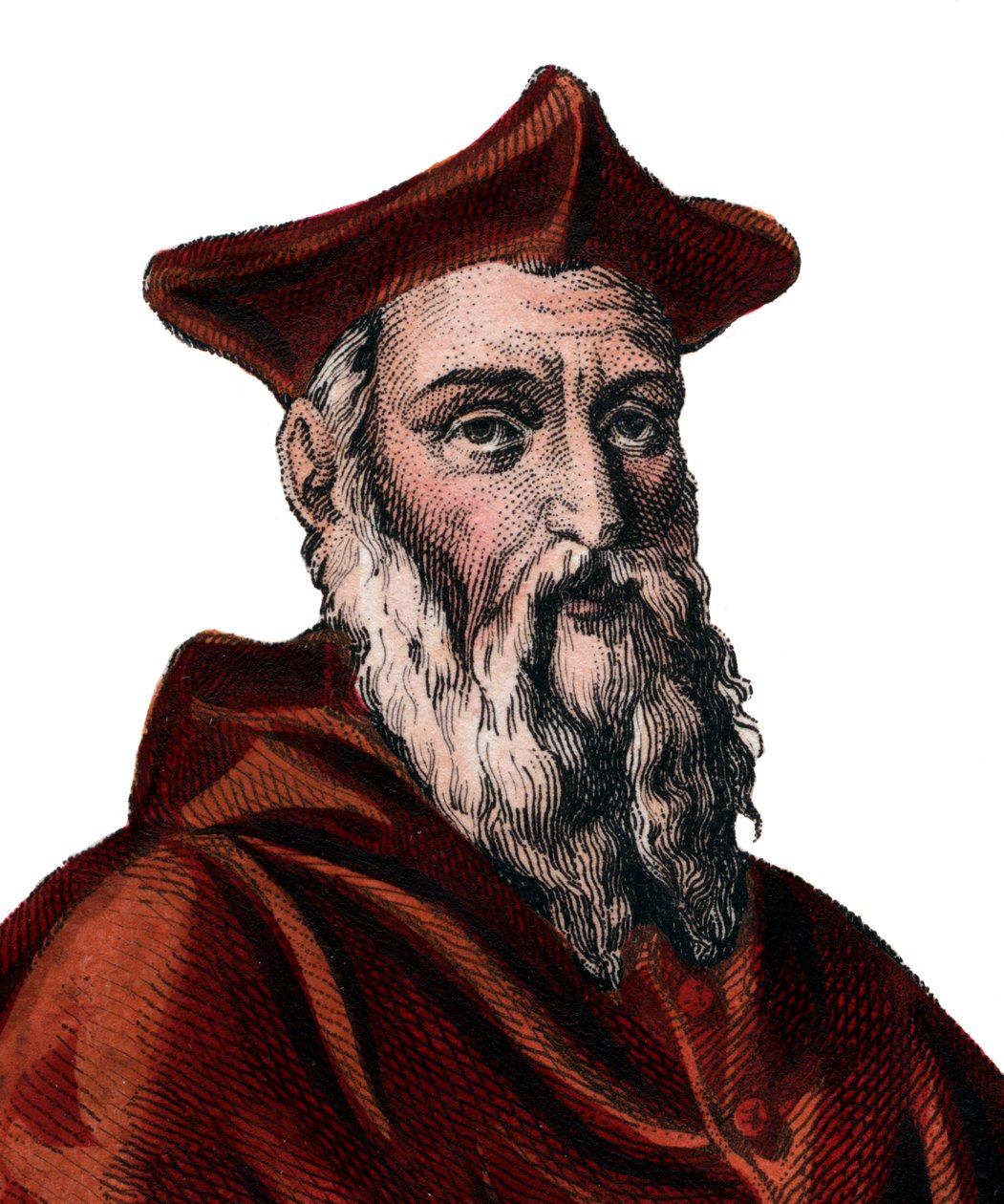 Portrét Jeana du Bellay (1492-1560), francouzského kardinála a diplomata. od French School