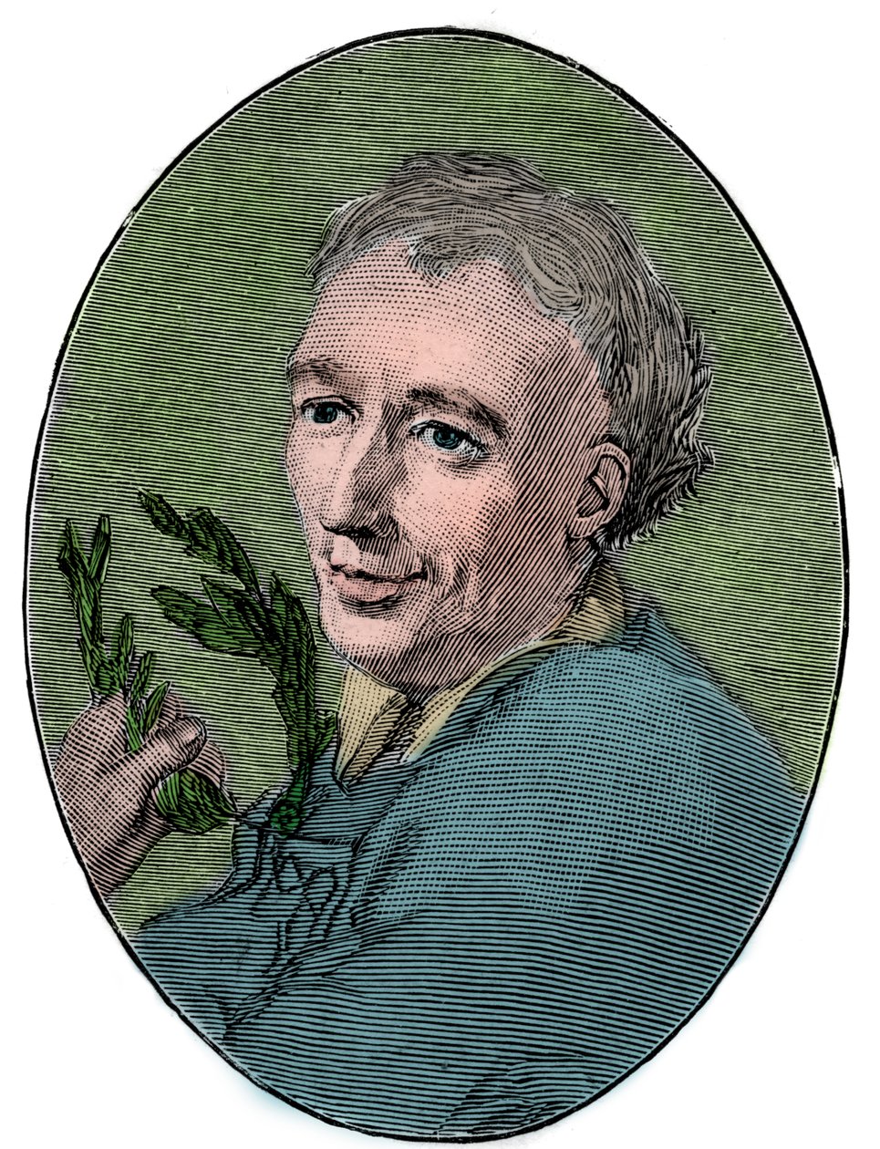 Portrét Laurence Eusdena (1688-1730) anglický básník. od French School