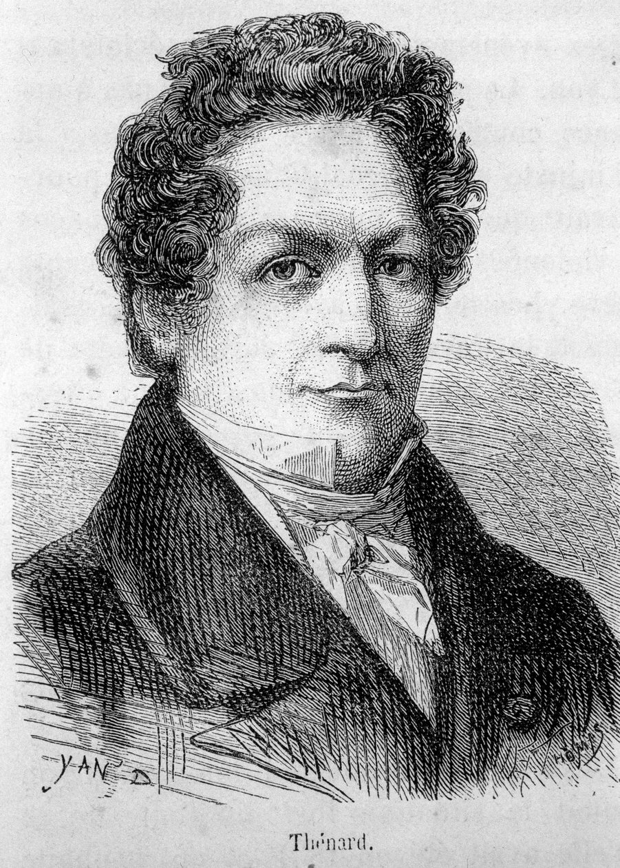 Portrét Louise Jacquese Thenarda (1777-1857), francouzského chemika. od French School