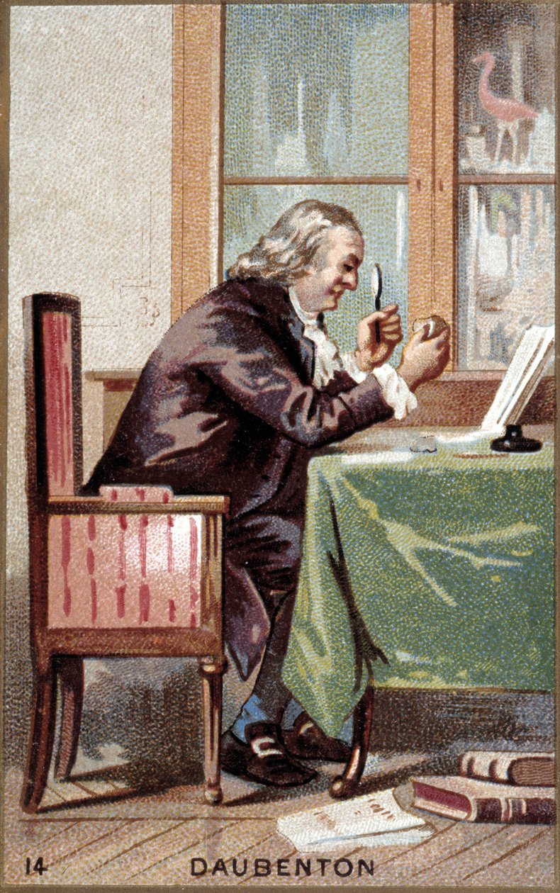 Portrét Louis Jean Marie Daubenton (1716 - 1800), francouzský přírodovědec. od French School