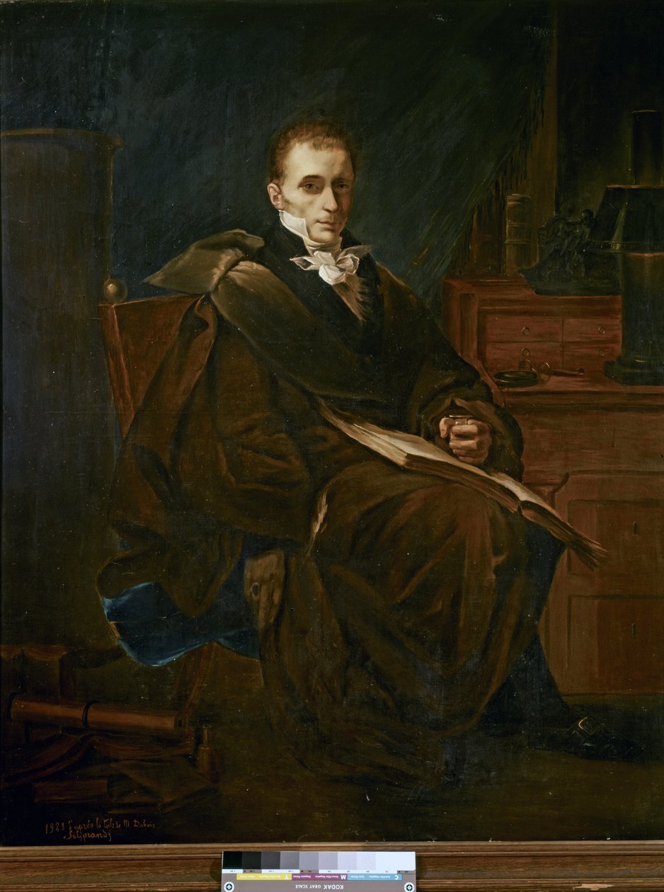 Portrét René-Théophile-Hyacinthe Laennec (olej na plátně) od French School