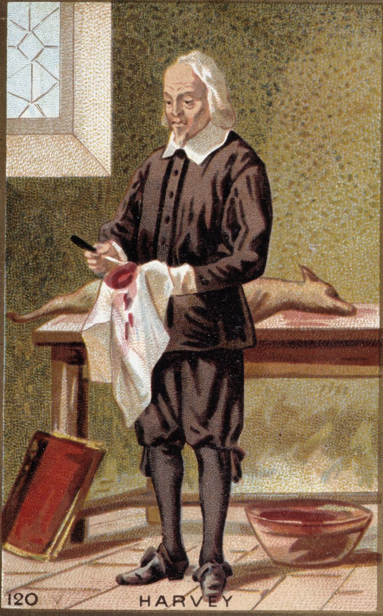 Portrét Williama Harveyho (1578-1657), anglického lékaře. od French School
