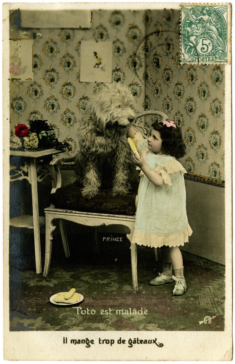 Pohlednice: Toto je nemocné, jí příliš mnoho koláčů, princi (tištěný papír) od French School