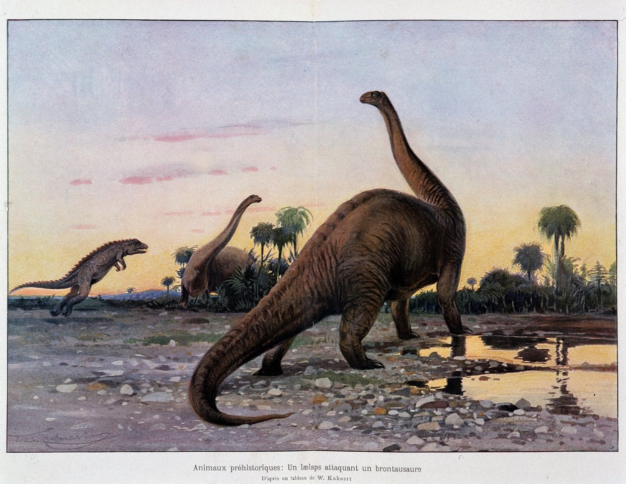 Prehistorická zvířata: lapá po útoku na brontausora - ve „Vesmíru a lidstvu““. od French School