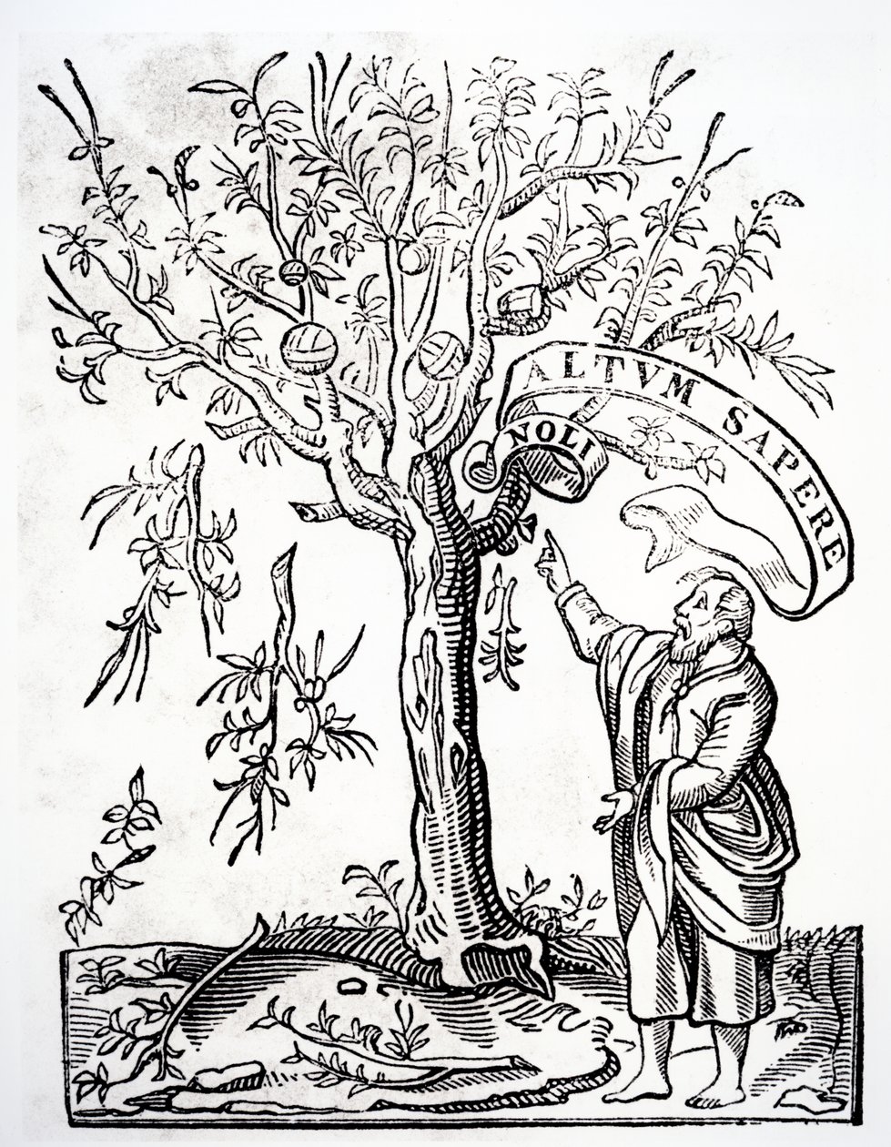 Tiskařský znak Roberta Estienna, Paříž, 1526 od French School