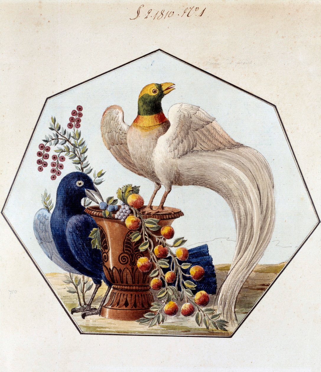 Projekt pro stůl ptáků v porcelánu od Alexandra Brongniarta (1770-1847). 1810 Sevres, archiv Manufacture de Sevres od French School
