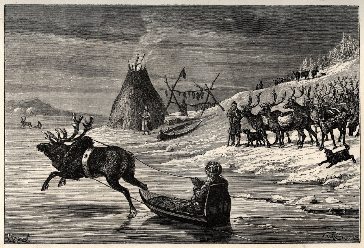 Stádo sobů v Laponsku – rytina z „“The Man and the Bete“ od Arthura Mangina – 1872 – od French School