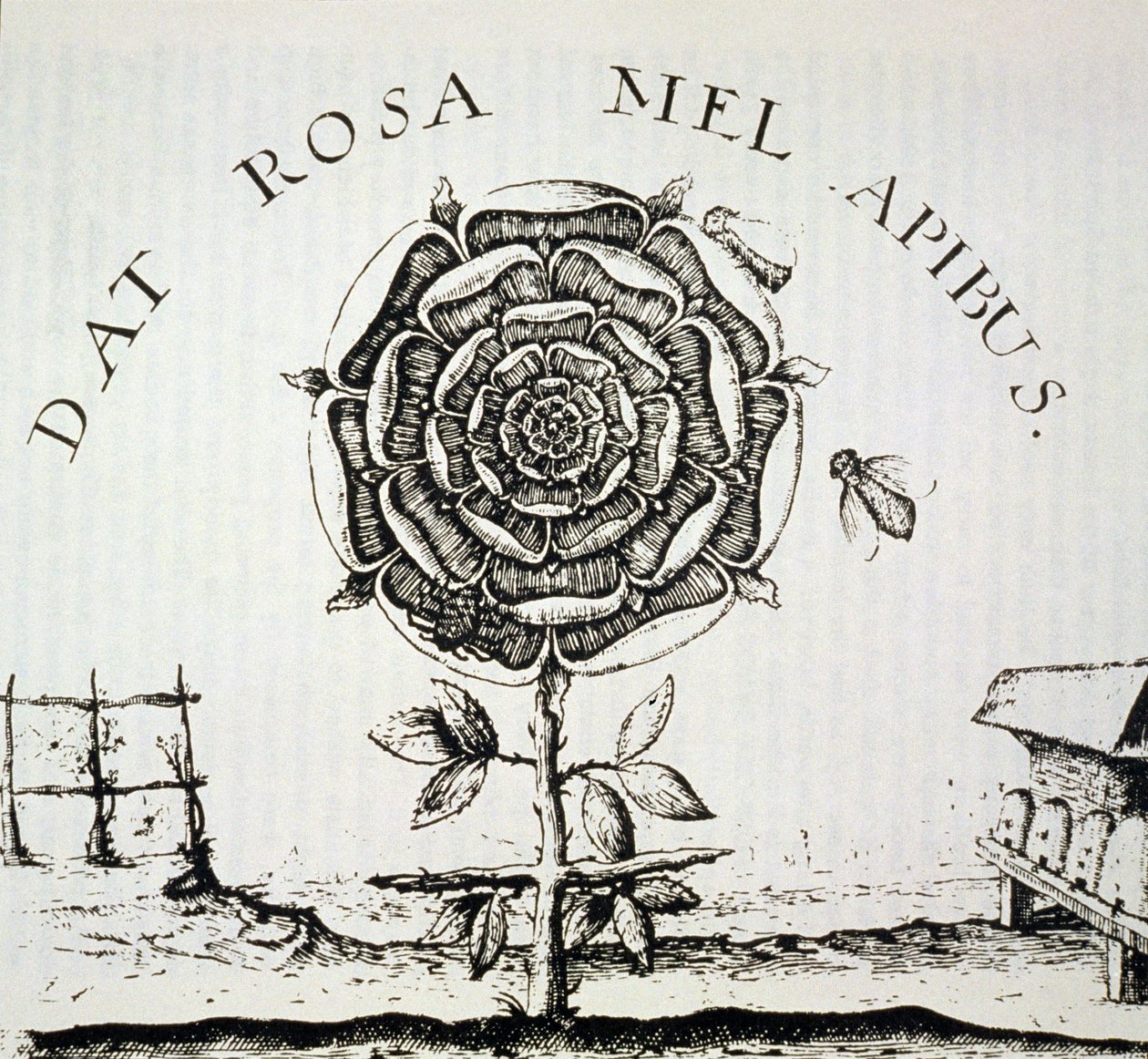Rosekruciánská alegorie, kopie rytiny od Johanna Theodora de Bry (kolem roku 1598), použitá v Historii magie, publikované koncem 19. století od French School