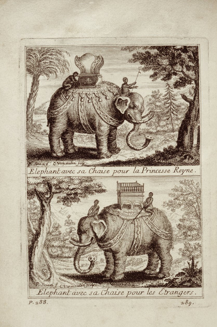 Královští sloni, z knihy Guy Tacharda Voyage du Siam des Peres Jesuites, 1688. od French School