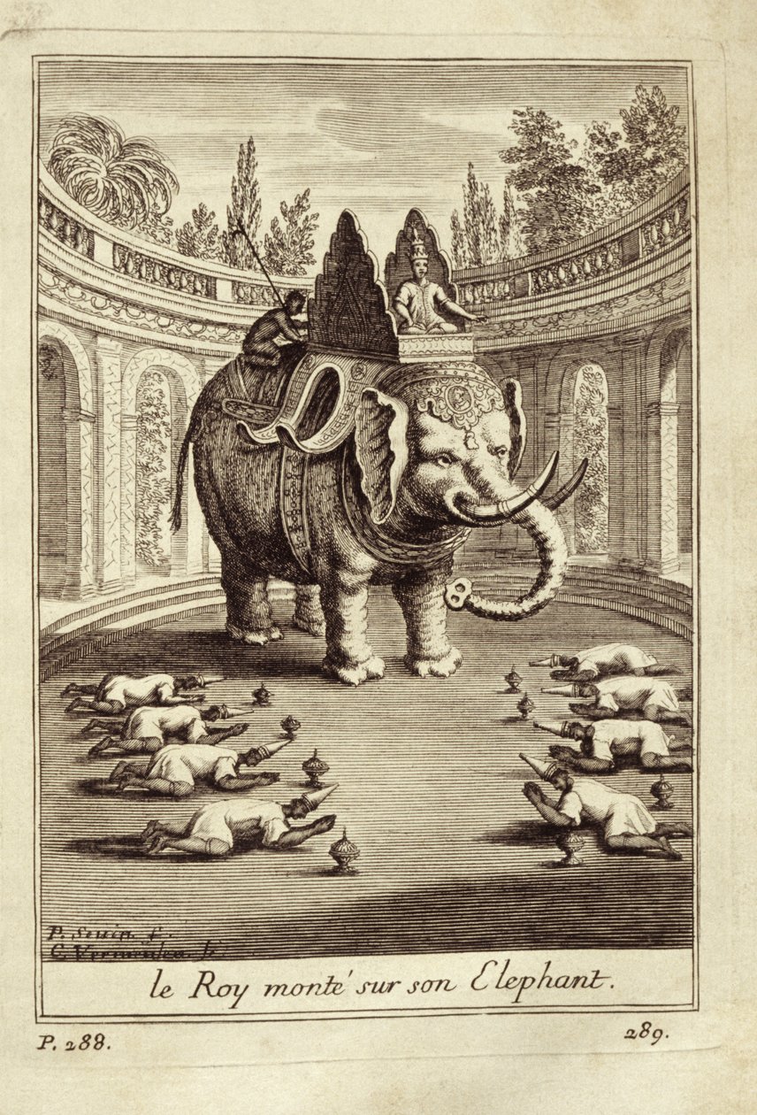 Královští sloni, z knihy Guy Tacharda Voyage du Siam des Peres Jesuites, 1688. od French School