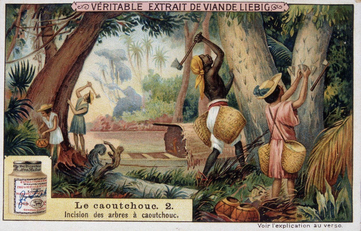 Pryž: zářez pryžových hřídelí - chromo Liébig. od French School