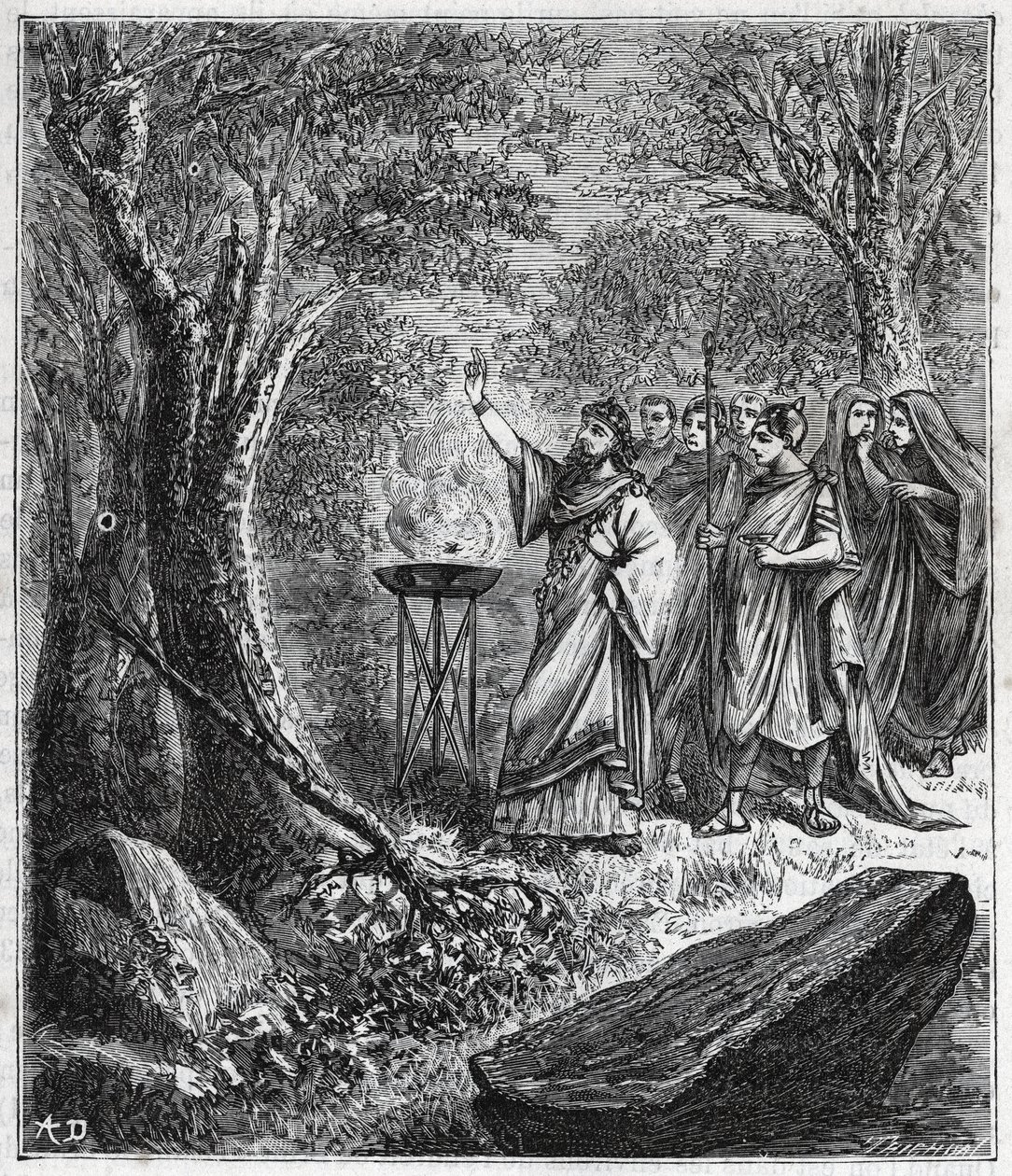 STRUFERTARI (slavnost ve starověkém Římě, aby očistila pobořené stromy) - Rytina v „“ Vědy, které jsou dostupné všem – populární fyzika a chemie““ od Alexise Clerca – Konec 19. století. Soukromá sbírka. od French School