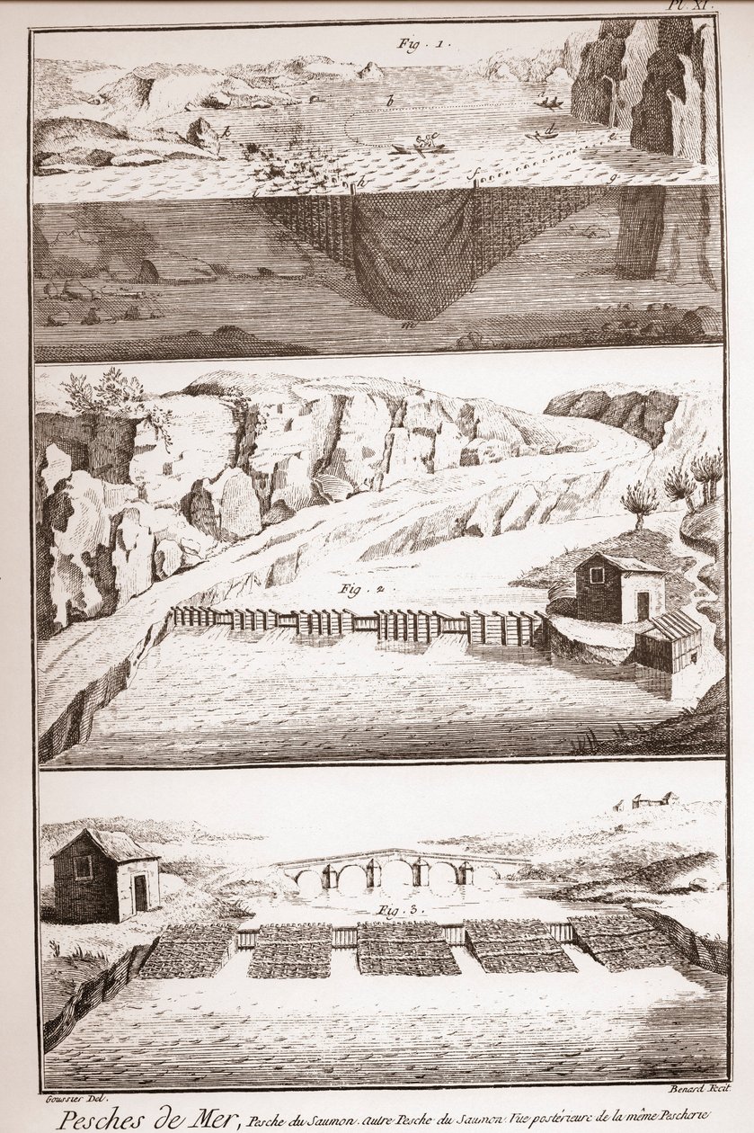 Techniky lovu lososů - Encyklopedie nebo slovník věd, umění a povolání od Denise Diderota (1713-1784) a Jean d
