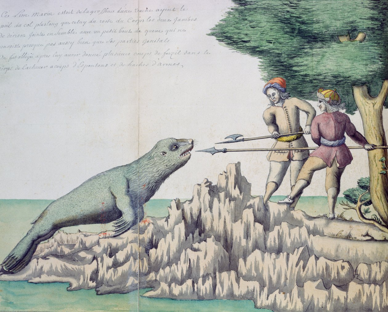 Lachtan poblíž Magellanova průlivu (wc na papíře) od French School