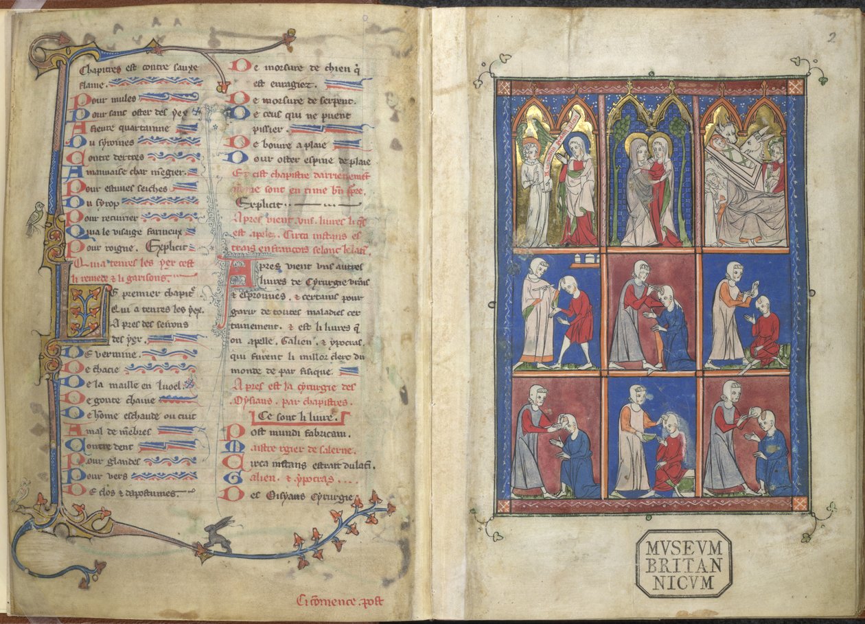 Sloane 1977, f.2 Chirurgia: Biblické a lékařské scény od French School
