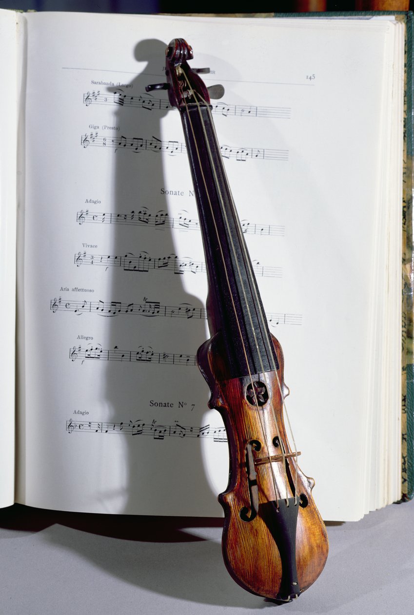 Smyčcový nástroj tanečního mistra, 19. století (dřevo) od French School