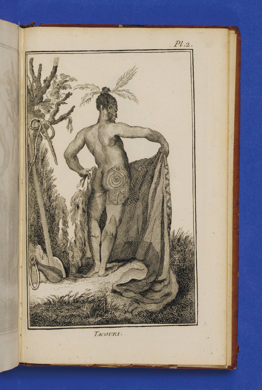 Tacouri, ilustrace z 